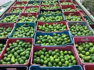 WhatsApp Image 2022 01 15 at 10.54.45