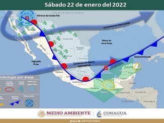 WhatsApp Image 2022 01 19 at 10.13.03