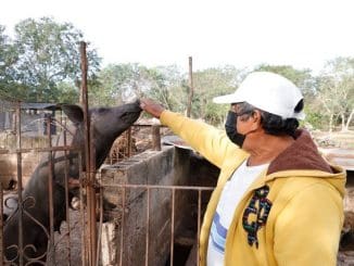 WhatsApp Image 2022 01 19 at 16.01.14