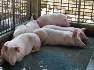 WhatsApp Image 2022 01 23 at 11.48.52