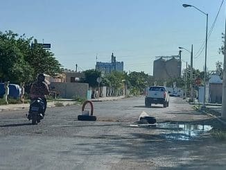 WhatsApp Image 2022 01 24 at 09.07.06