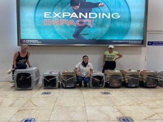 WhatsApp Image 2022 01 26 at 07.30.22