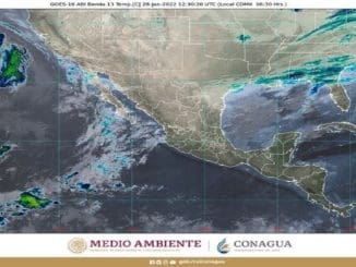 WhatsApp Image 2022 01 28 at 08.45.21