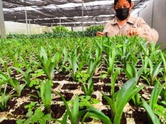 WhatsApp Image 2022 01 28 at 21.55.47