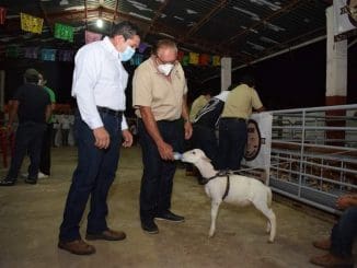 Aa856f59 a142 4ed3 9bf7 0d027894f581