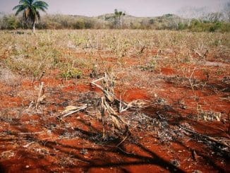 Ab90d5de be90 4e3c 88c3 28ba6dfdfe0d