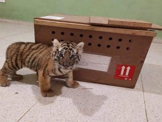 F315ad52 fc1f 49d4 9d35 0981a9531a6d