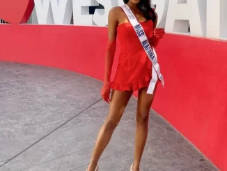 257279255 956743211852621 8990582941428720703 n