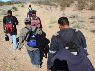 WhatsApp Image 2022 02 01 at 13.55.48