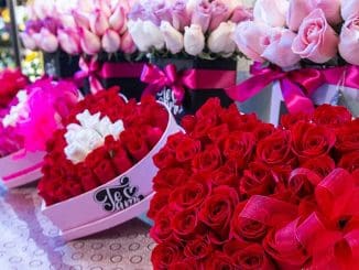 WhatsApp Image 2022 02 05 at 00.44.32