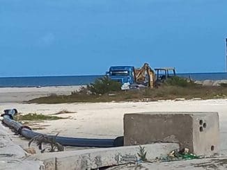 WhatsApp Image 2022 02 05 at 12.14.51 (1)