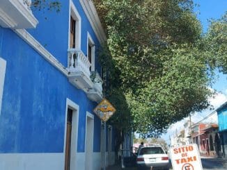 WhatsApp Image 2022 02 11 at 08.31.13