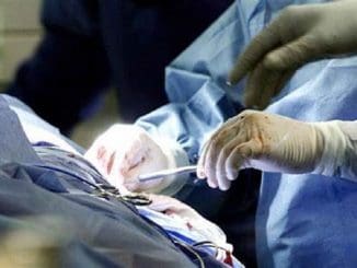 WhatsApp Image 2022 02 11 at 08.43.34