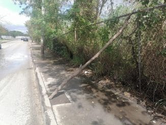 WhatsApp Image 2022 02 13 at 11.47.47