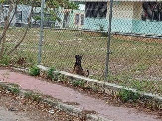 WhatsApp Image 2022 02 27 at 1.13.50 PM