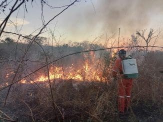 PM 10 3COLBYN INCENDIOS PROCIVY