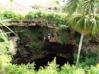 WhatsApp Image 2022 03 22 at 10.19.02 AM