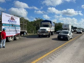 WhatsApp Image 2022 03 22 at 12.10.27 PM