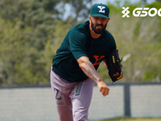 Pagina Web 9 620x400