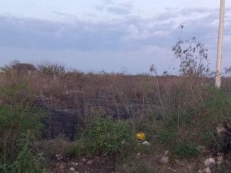 WhatsApp Image 2022 04 05 at 9.12.58 PM