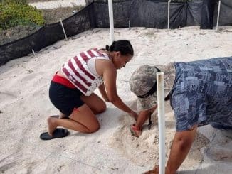 WhatsApp Image 2022 05 24 at 2.24.35 PM