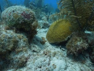 WhatsApp Image 2022 07 05 at 8.18.03 AM