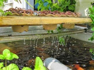 WhatsApp Image 2022 07 12 at 1.32.52 PM