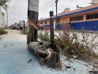 WhatsApp Image 2022 07 12 at 11.49.30 AM