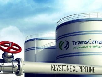 WhatsApp Image 2022 07 26 at 11.51.20 AM (1)