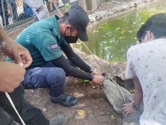 WhatsApp Image 2022 08 29 at 4.18.33 PM