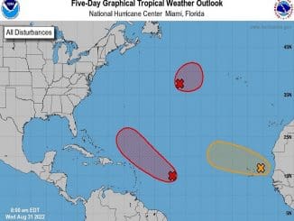 WhatsApp Image 2022 08 31 at 12.34.49 PM