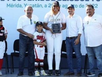 Liga beisbol1