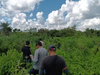 2beee0a1 0e29 4af8 bf55 618542ca2d62