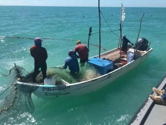 308480160 10166838735500360 5172191164850505363 n