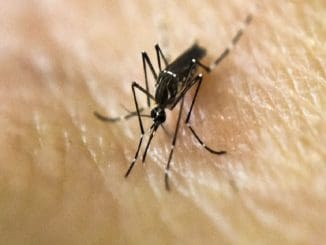 830b705db41f0fecd15fed13ff8f0b44 L