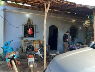 DZIDZANTUN POLICIAS 1 scaled