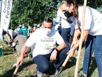 RENAN CRUZADA FORESTAL 1 scaled