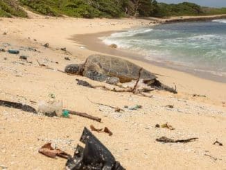 WhatsApp Image 2022 09 06 at 3.12.04 PM