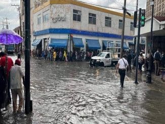 WhatsApp Image 2022 09 09 at 8.06.14 AM