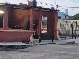 WhatsApp Image 2022 09 10 at 6.36.20 AM