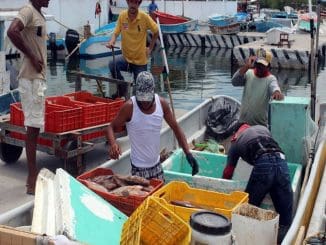 WhatsApp Image 2022 09 12 at 2.13.36 PM