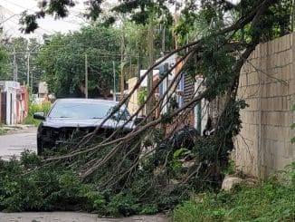 WhatsApp Image 2022 09 12 at 8.17.53 AM