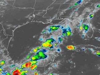 WhatsApp Image 2022 09 12 at 8.40.02 AM