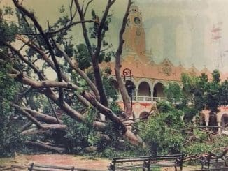 WhatsApp Image 2022 09 14 at 6.28.32 AM