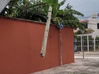 WhatsApp Image 2022 09 14 at 6.57.07 PM