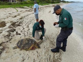 WhatsApp Image 2022 09 17 at 1.02.24 PM