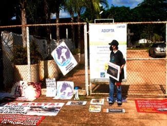 WhatsApp Image 2022 09 23 at 3.13.27 PM