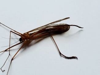 WhatsApp Image 2022 09 25 at 3.54.59 PM