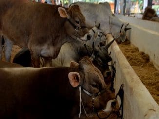 WhatsApp Image 2022 09 26 at 3.31.55 PM