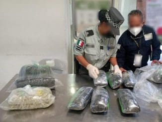 Cocaina Quintana Roo